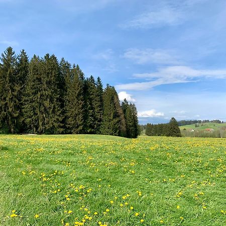 Lindners Hideaways - Bergnest Lodge - Bergblick Fewo 6 Pers Balkon Garten Hund Ski Unterkunft Luftkurort Oberreute Naehe Buchenegger Wasserfaelle Eistobel Bodensee Eksteriør bilde