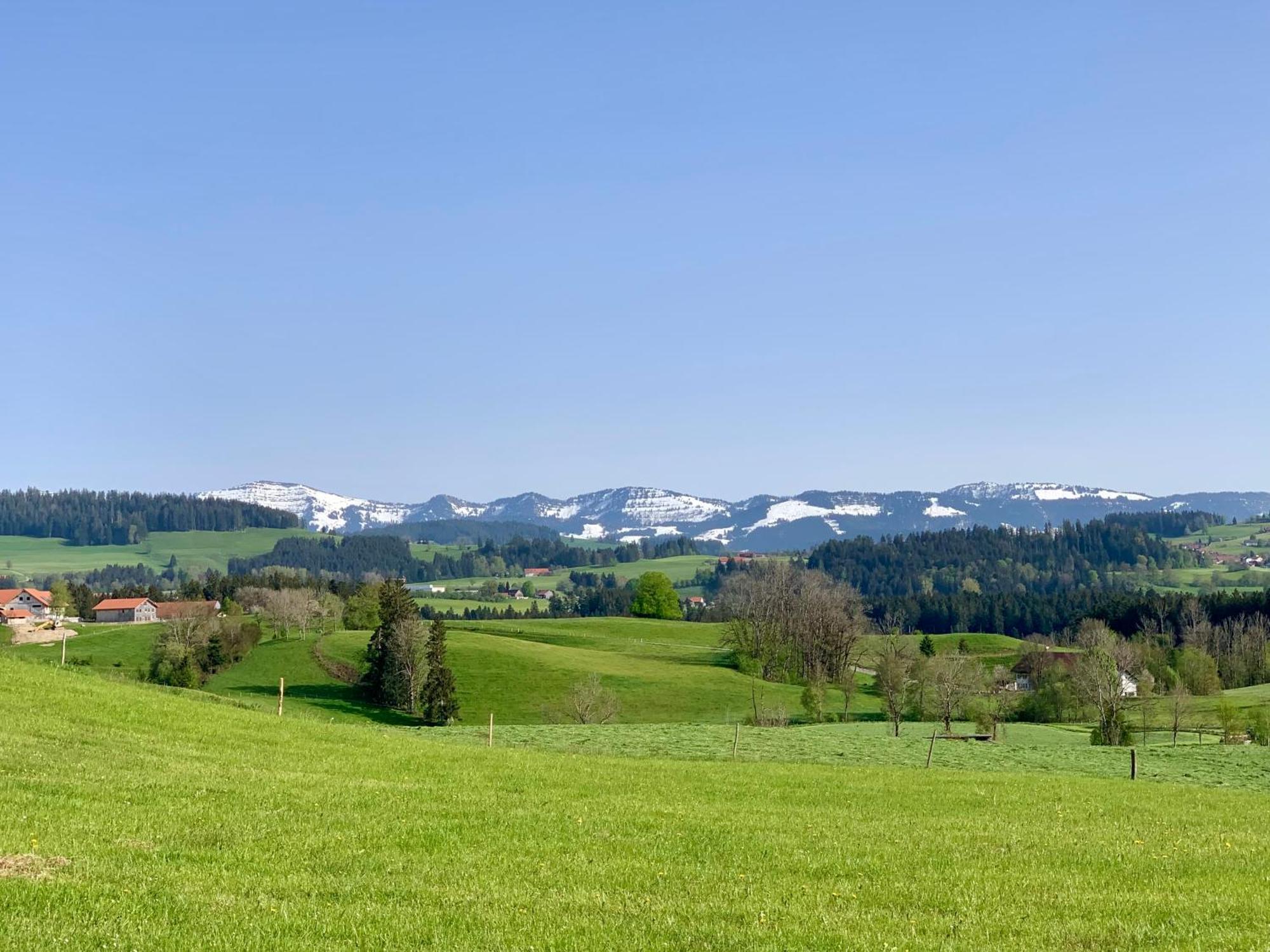 Lindners Hideaways - Bergnest Lodge - Bergblick Fewo 6 Pers Balkon Garten Hund Ski Unterkunft Luftkurort Oberreute Naehe Buchenegger Wasserfaelle Eistobel Bodensee Eksteriør bilde