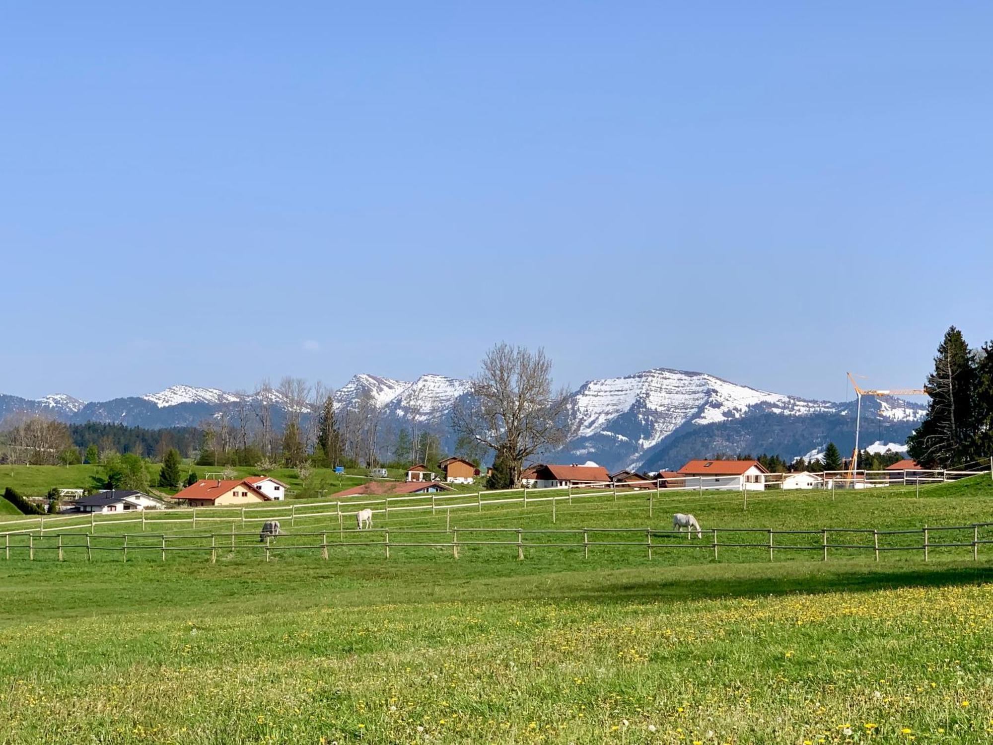 Lindners Hideaways - Bergnest Lodge - Bergblick Fewo 6 Pers Balkon Garten Hund Ski Unterkunft Luftkurort Oberreute Naehe Buchenegger Wasserfaelle Eistobel Bodensee Eksteriør bilde