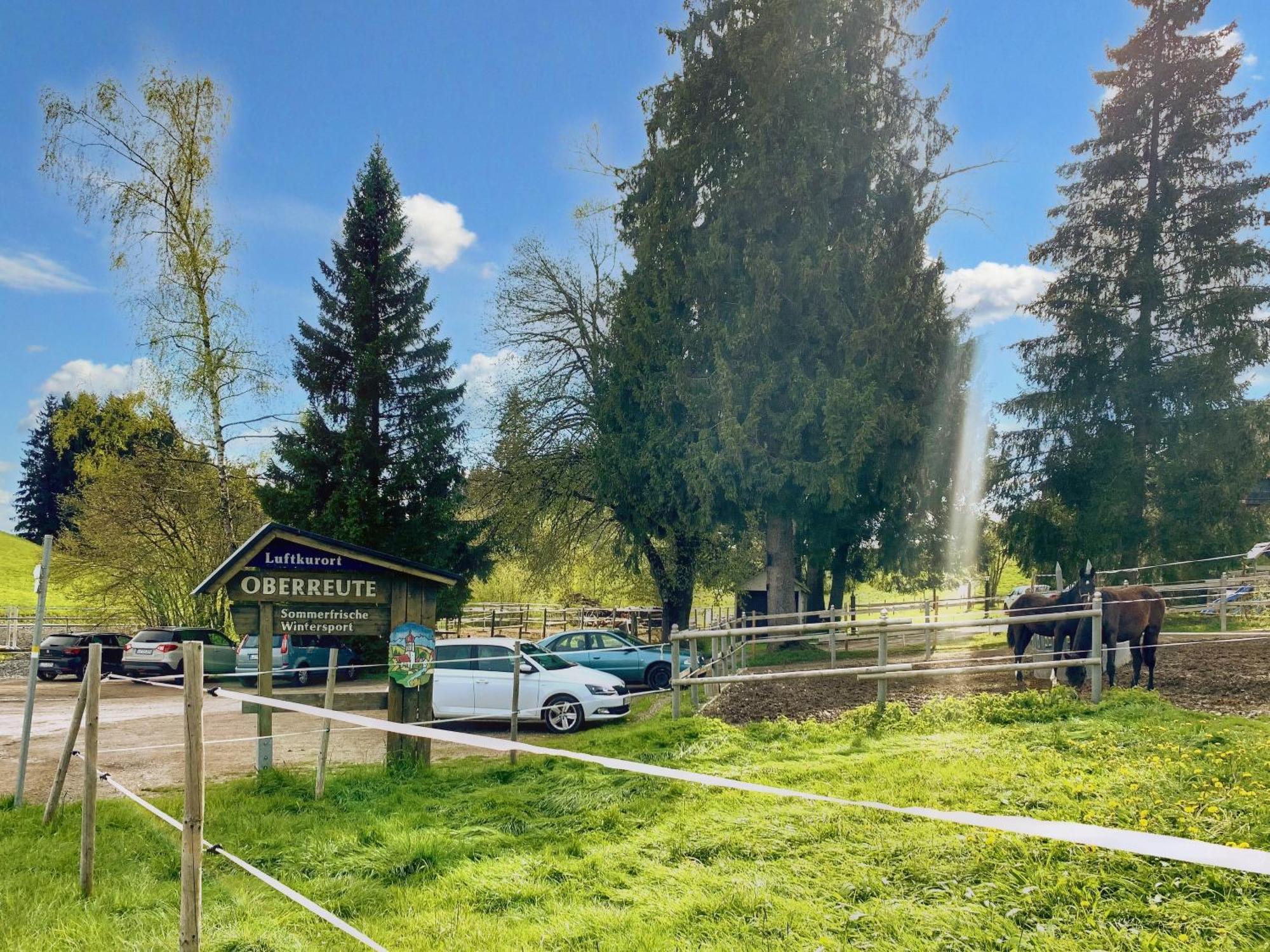 Lindners Hideaways - Bergnest Lodge - Bergblick Fewo 6 Pers Balkon Garten Hund Ski Unterkunft Luftkurort Oberreute Naehe Buchenegger Wasserfaelle Eistobel Bodensee Eksteriør bilde