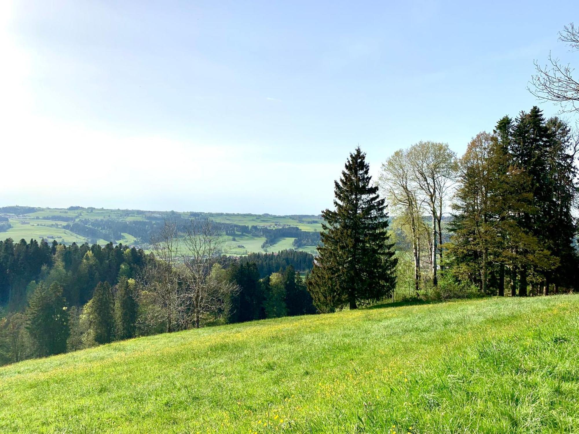 Lindners Hideaways - Bergnest Lodge - Bergblick Fewo 6 Pers Balkon Garten Hund Ski Unterkunft Luftkurort Oberreute Naehe Buchenegger Wasserfaelle Eistobel Bodensee Eksteriør bilde